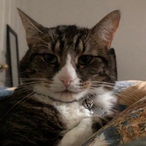 Meet your Posher, Melissa